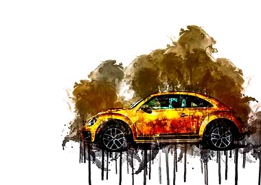 Volkswagen Beetle Dune