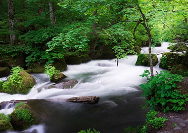 Spring green Oirase Creek