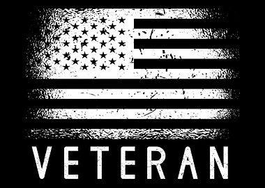 Veteran Veterans Day Army