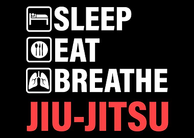 Mixed Martial Arts MMA