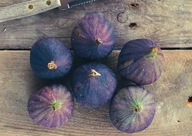Figs