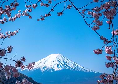 Mt Fuji in Glory