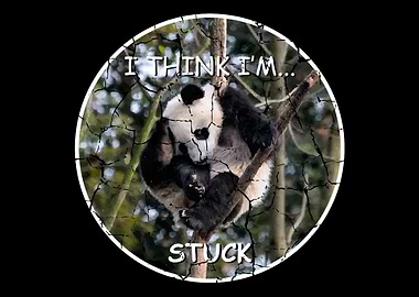 Think Im Stuck Zookeeper