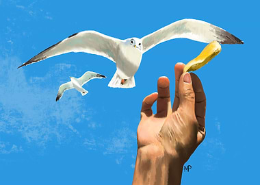 Feeding Time at the Beach