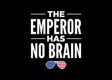 The Emperor Has No Brain