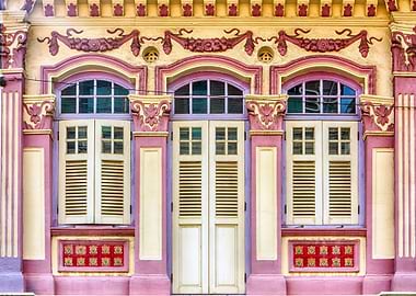 The Singapore Shophouse