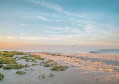 Hardings Beach Cape Cod