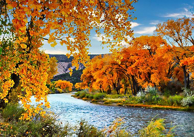 Fall Along the Rio Grande