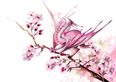 Sakura Blossom Dragon