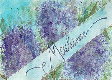 Mackinac Lilacs Watercolor