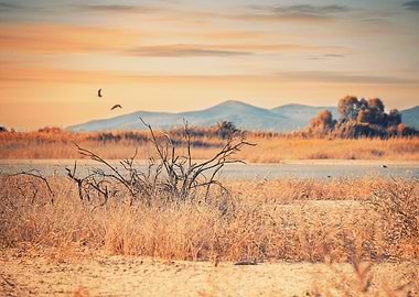 Salt lake Greek island Kos