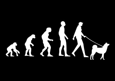 Akita Evolution Akita Dog