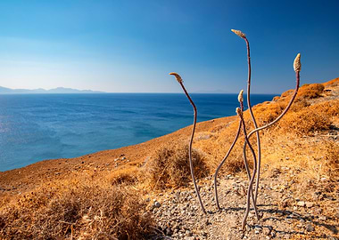 Seascape on a Greek island