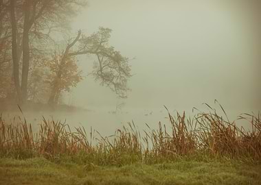 Autumn foggy lake in park