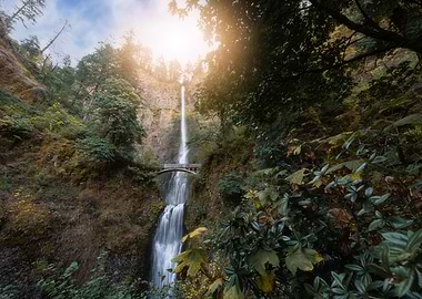 Magical Multnomah Falls