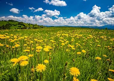 Spring in Tatra Mountains