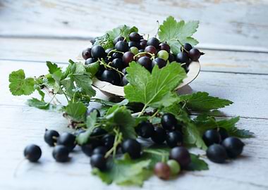Fresh black currants