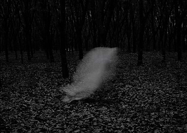 Visions in the night