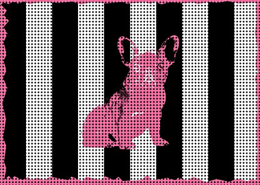 French BullDog Pop Art