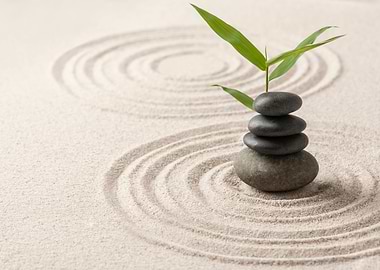 Zen Stones and circles