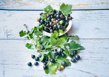 Black and fruity currants