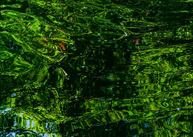 Reflection of nature