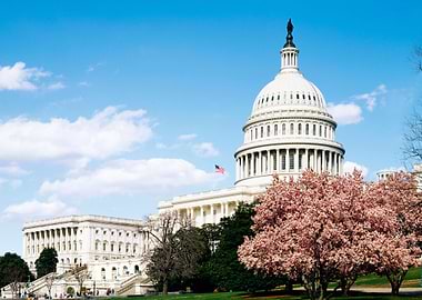 Capitol Hill Summertime