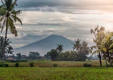 Bali Landscape