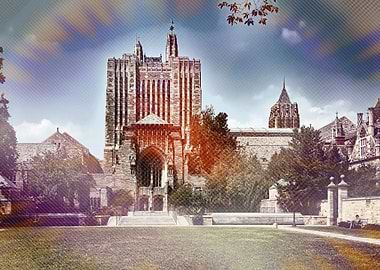 yale university