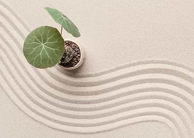 Japanese Sand Wave A