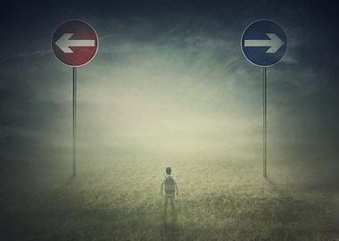 choose your course