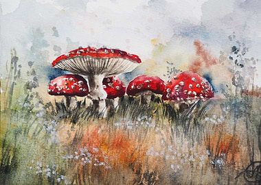 Toadstool mushrooms