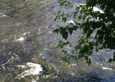 River water