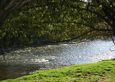 River flow in early autumn