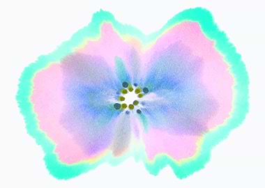 Minimalist wall decoration