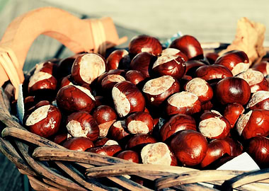 Chestnuts in a basket