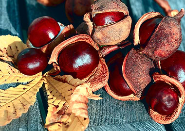 Chestnuts