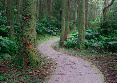 Ecological Walking Trails