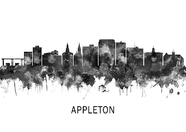 Appleton Wisconsin Skyline