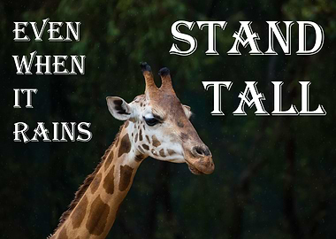 Giraffe Motivation Stand