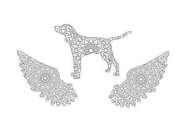 American english coonhound