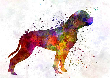 American Bulldog dog