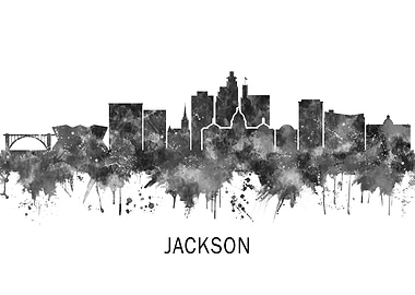 Jackson USA Skyline BW