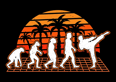 Karate Evolution Sunset