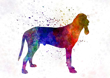 Ariege Hound in watercolor