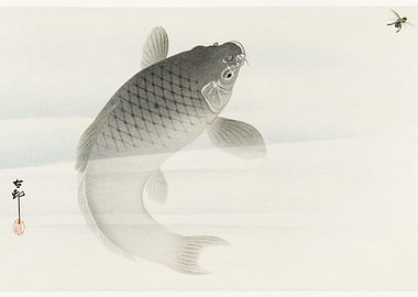 Koi artwork