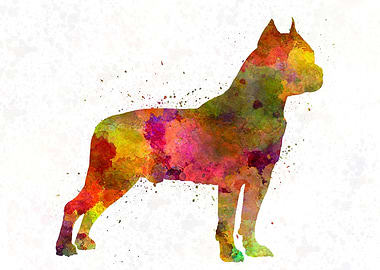 American Staffordshire