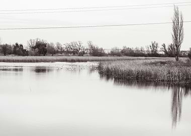 loneliness at the lake