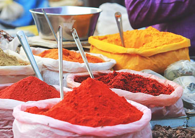 Colour of Spice