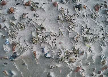 sand stones on the beach